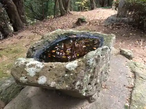 志太張神社の手水