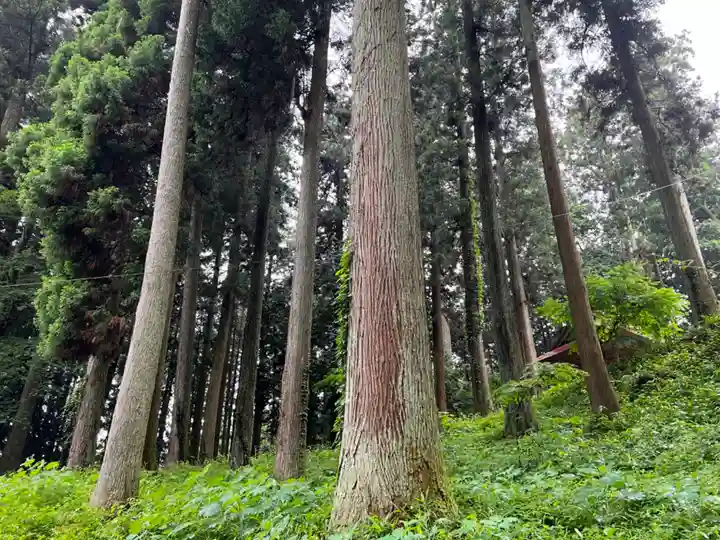 大宮温泉神社(栃木県)