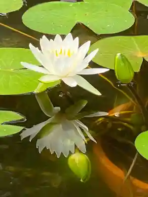 金剛福寺(高知県)