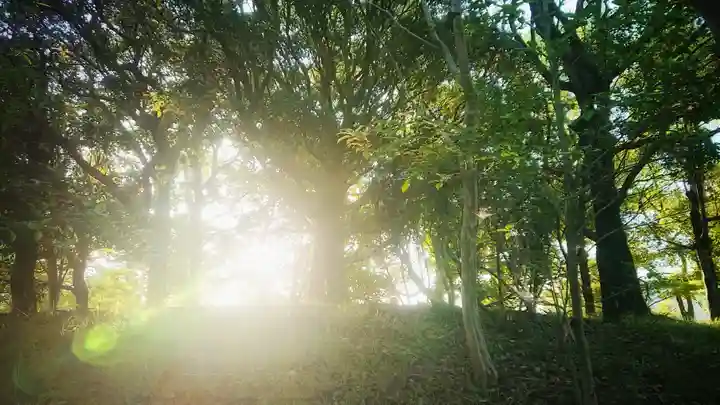 神明社(重本)の自然