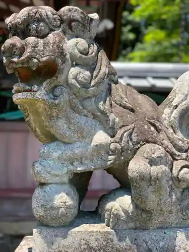 建藤神社の狛犬