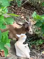 楽法寺(雨引観音)(茨城県)