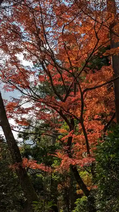 龍安寺(京都府)