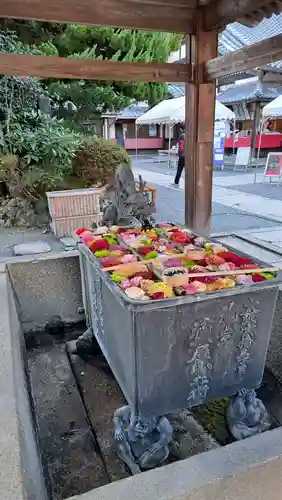 柳谷観音　楊谷寺(京都府)