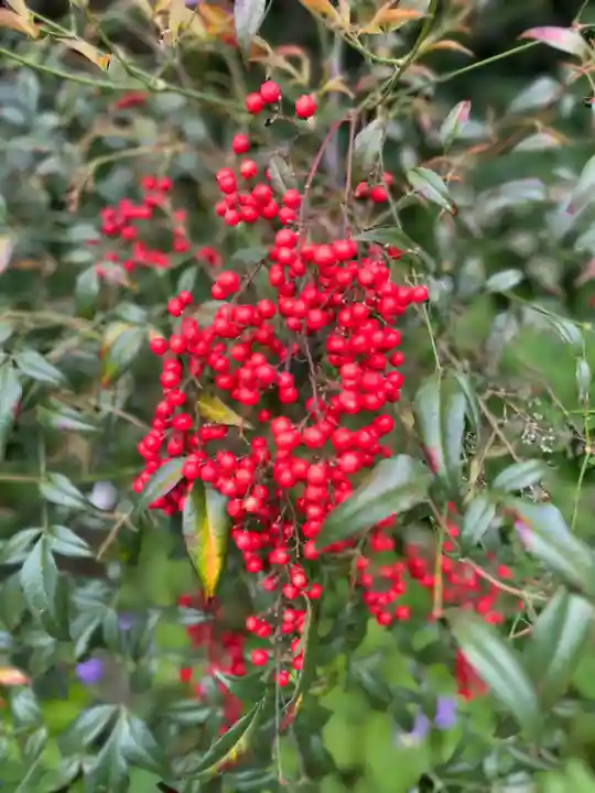 子安地蔵寺の{uncategorized: "未分類", other: "その他", undefined: "問題あり", building: "その他建物", grave: "お墓", sacred_gate: "鳥居", guardian: "狛犬", statue: "像", buddha: "仏像", history: "歴史", nature: "自然", garden: "庭園", animal: "動物", pagoda: "塔", temizu: "手水舎", mountain_gate: "山門・神門", sanctuary: "本殿・本堂", subordinate: "末社・摂社", art: "芸術", scenery: "景色", jizo: "地蔵", ema: "絵馬", goshuin: "御朱印", omikuji: "おみくじ", items: "授与品その他", amulet: "お守り", goshuincho: "御朱印帳", eats: "食事", festival: "お祭り", votive_dance: "神楽", shichigosan: "七五三参", wedding: "結婚式", experience: "体験その他", initially: "初詣", around: "周辺", anti_infection: "感染症対策"}