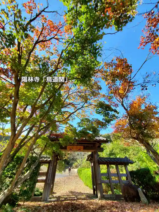 陽林寺(福島県)