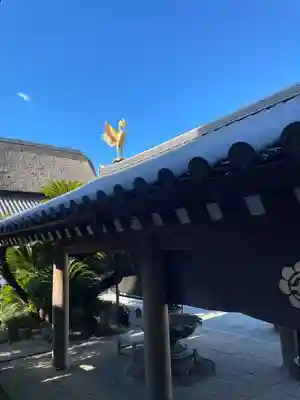 温泉山 安楽寺(四国霊場第六番札所)(徳島県)