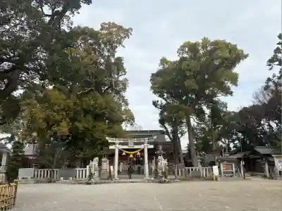 野田八幡宮(愛知県)