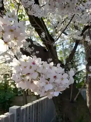 多田神社の自然