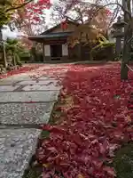 神光院の本殿・本堂