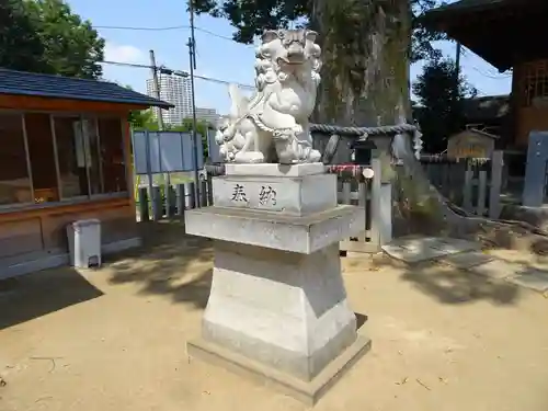 守谷総鎮守 八坂神社の狛犬