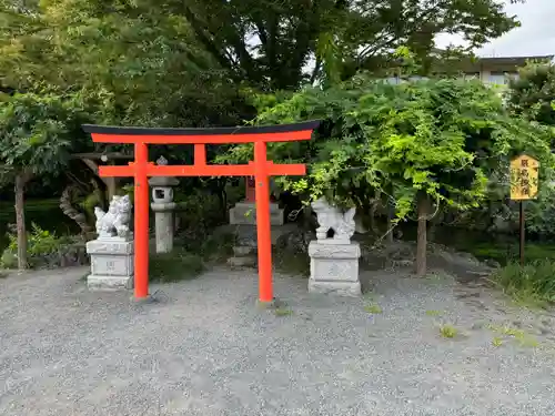 富士山本宮浅間大社(静岡県)