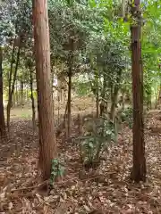 埴生神社の自然