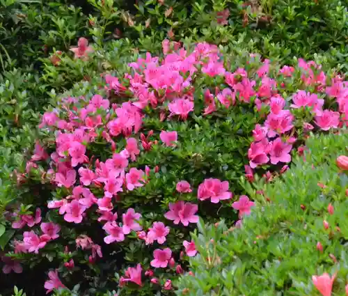 龍潭寺(静岡県)