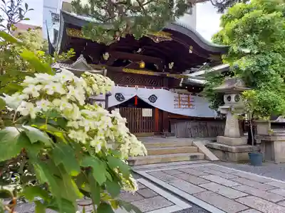 元祇園梛神社・隼神社の本殿・本堂