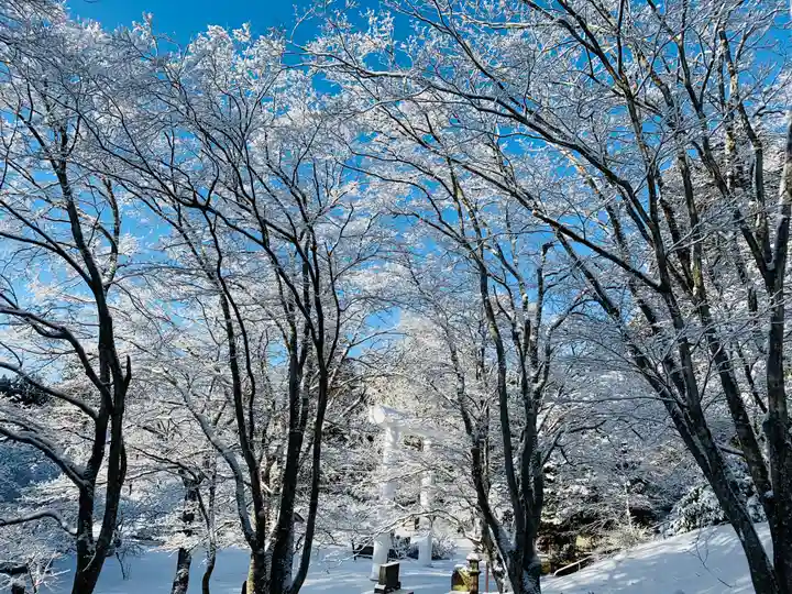土津神社|こどもと出世の神さまの自然