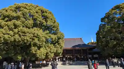 明治神宮(東京都)