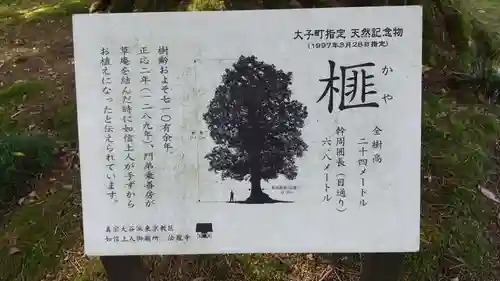 如信上人御廟所法龍寺の自然