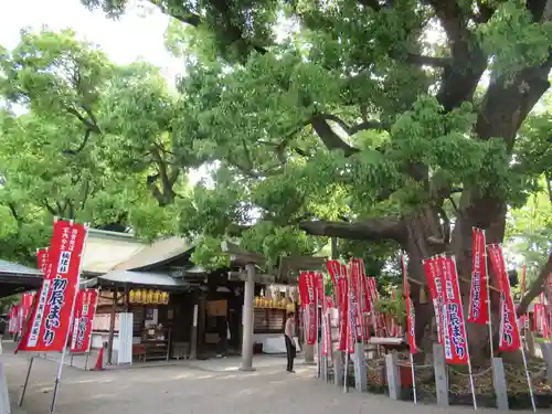 住吉大社(大阪府)