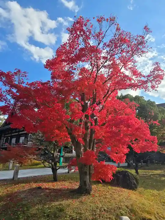 智積院(京都府)