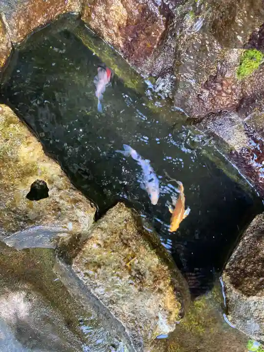 貴船神社(群馬県)