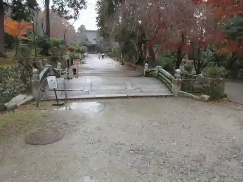 園城寺（三井寺）(滋賀県)