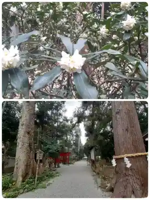 鴨都波神社の{uncategorized: "未分類", other: "その他", undefined: "問題あり", building: "その他建物", grave: "お墓", sacred_gate: "鳥居", guardian: "狛犬", statue: "像", buddha: "仏像", history: "歴史", nature: "自然", garden: "庭園", animal: "動物", pagoda: "塔", temizu: "手水舎", mountain_gate: "山門・神門", sanctuary: "本殿・本堂", subordinate: "末社・摂社", art: "芸術", scenery: "景色", jizo: "地蔵", ema: "絵馬", goshuin: "御朱印", omikuji: "おみくじ", items: "授与品その他", amulet: "お守り", goshuincho: "御朱印帳", eats: "食事", festival: "お祭り", votive_dance: "神楽", shichigosan: "七五三参", wedding: "結婚式", experience: "体験その他", initially: "初詣", around: "周辺", anti_infection: "感染症対策"}