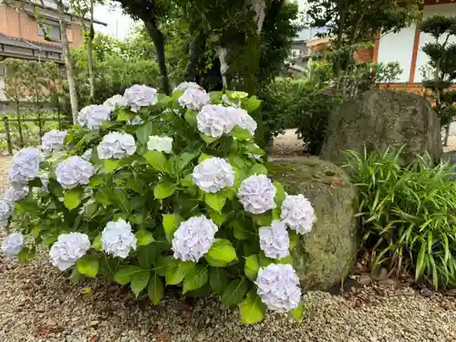 美奈宜神社(福岡県)