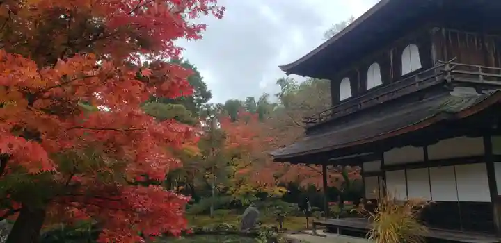 慈照寺(慈照禅寺・銀閣寺)のその他建物