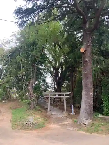 七社神社の鳥居