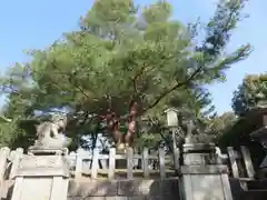 北野天満宮の自然