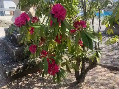 木舟山　順教寺(広島県)