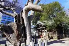 阿邪訶根神社の自然