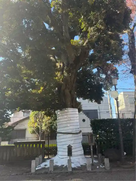 八幡大神社(東京都)