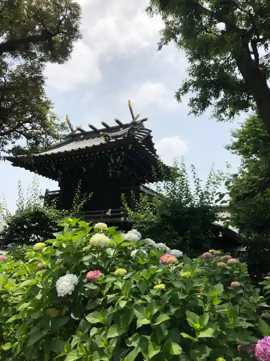 白山神社の本殿・本堂