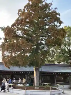 寒川神社(神奈川県)