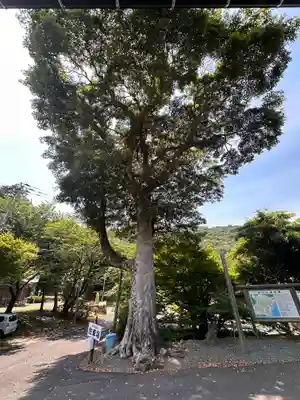 福寿寺(福井県)