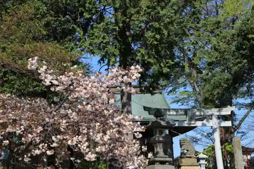 熊野福藏神社の景色