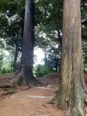 五社大神(千葉県)