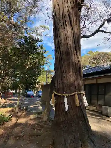 息栖神社(茨城県)