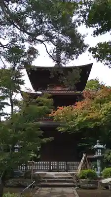 豪徳寺の塔
