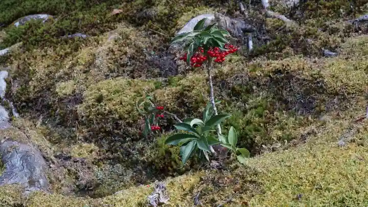 慈照寺(慈照禅寺・銀閣寺)(京都府)