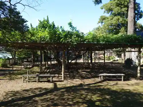 武蔵第六天神社の自然