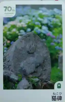 猫神社の御朱印
