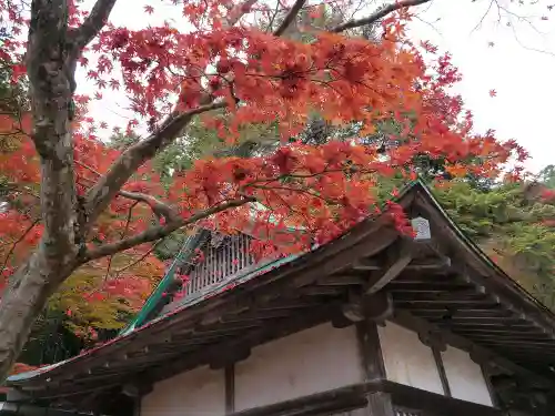 勝尾寺の自然