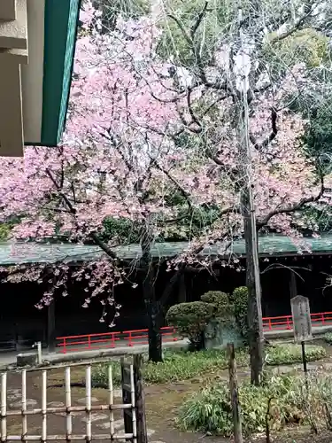 代々木八幡宮(東京都)