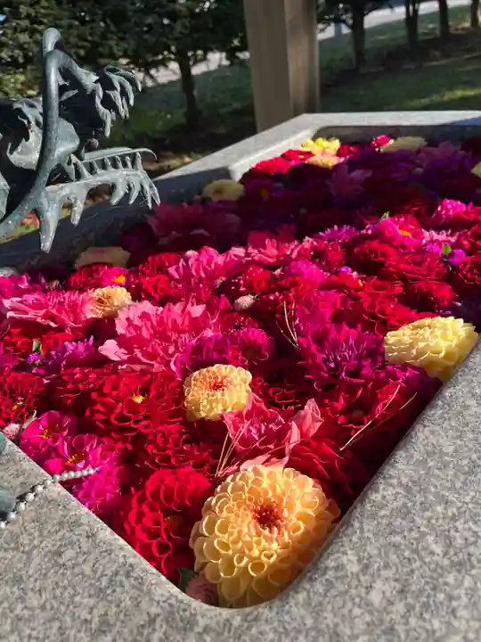 士幌神社の手水舎