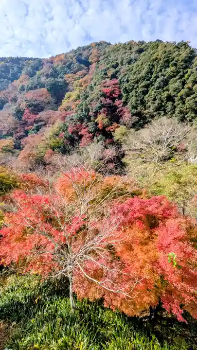 勝尾寺(大阪府)