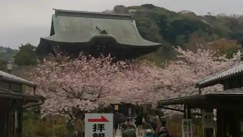 建長寺の{uncategorized: "未分類", other: "その他", undefined: "問題あり", building: "その他建物", grave: "お墓", sacred_gate: "鳥居", guardian: "狛犬", statue: "像", buddha: "仏像", history: "歴史", nature: "自然", garden: "庭園", animal: "動物", pagoda: "塔", temizu: "手水舎", mountain_gate: "山門・神門", sanctuary: "本殿・本堂", subordinate: "末社・摂社", art: "芸術", scenery: "景色", jizo: "地蔵", ema: "絵馬", goshuin: "御朱印", omikuji: "おみくじ", items: "授与品その他", amulet: "お守り", goshuincho: "御朱印帳", eats: "食事", festival: "お祭り", votive_dance: "神楽", shichigosan: "七五三参", wedding: "結婚式", experience: "体験その他", initially: "初詣", around: "周辺", anti_infection: "感染症対策"}