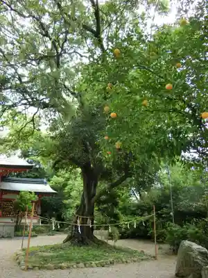 賣太神社の周辺